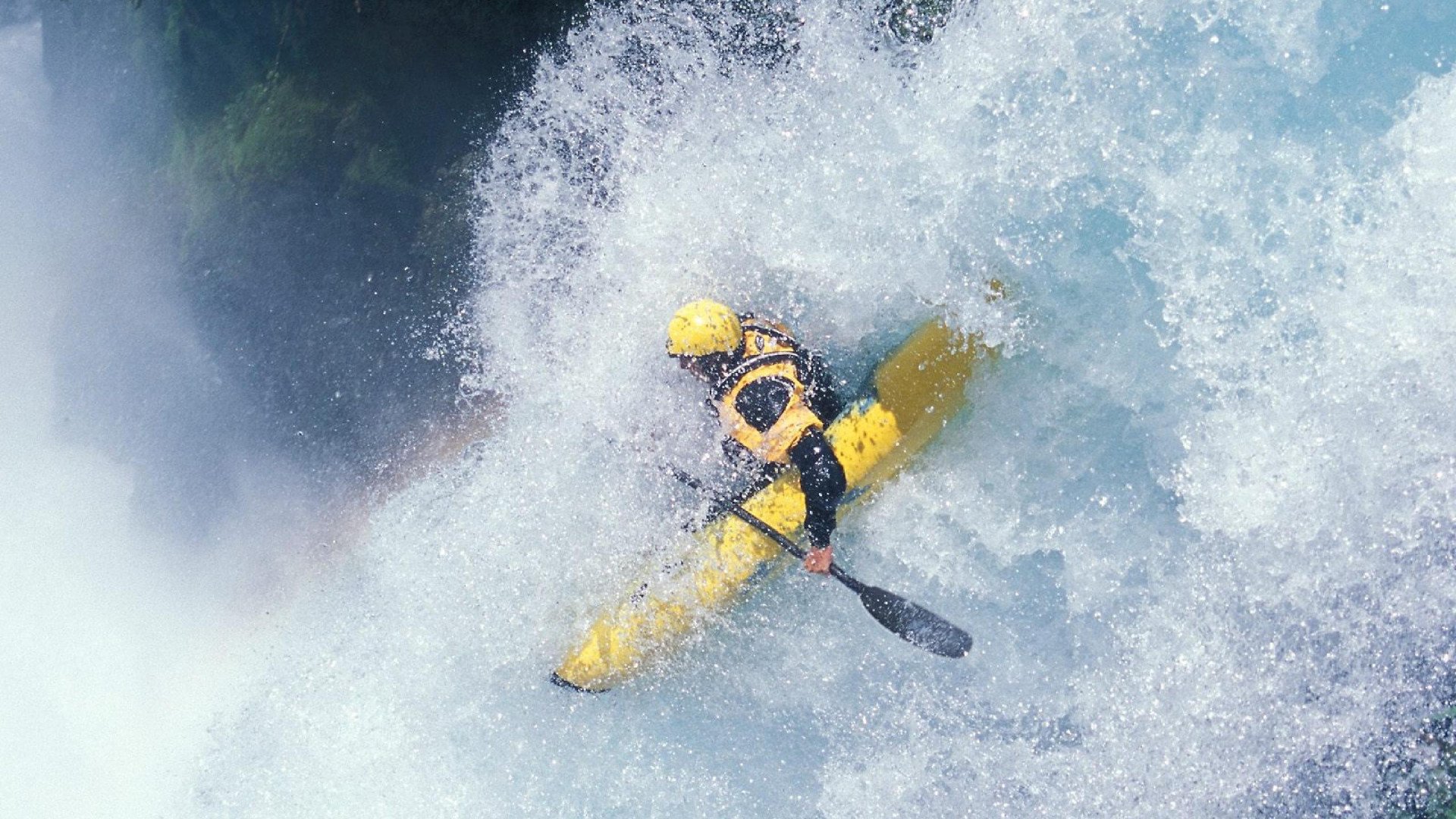 未来之星：年轻天才引领未来！，未来之星是谁