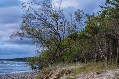 NBA球队战术调整及应用，nba篮球战术