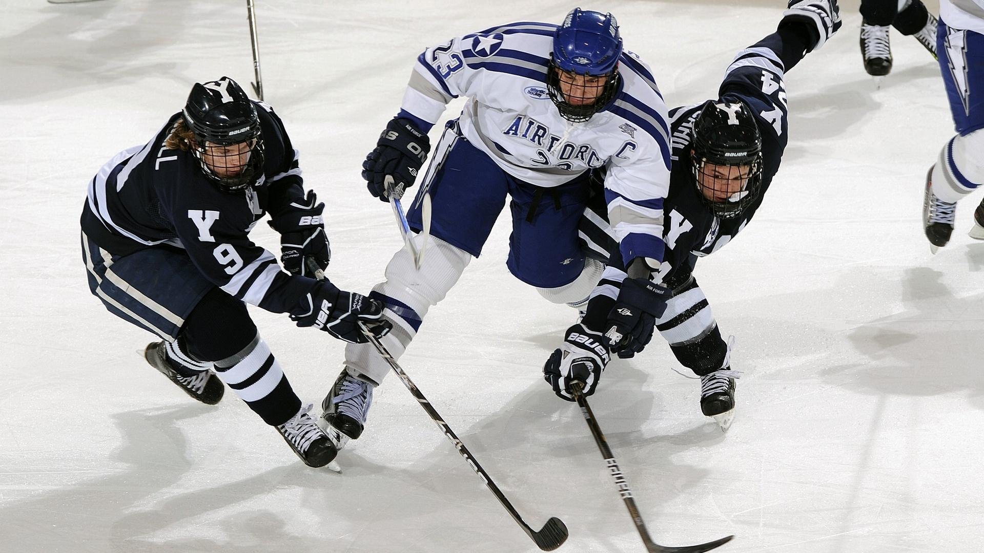 尼日尔排球运动逐渐成为主流运动项目，尼日尔国家队