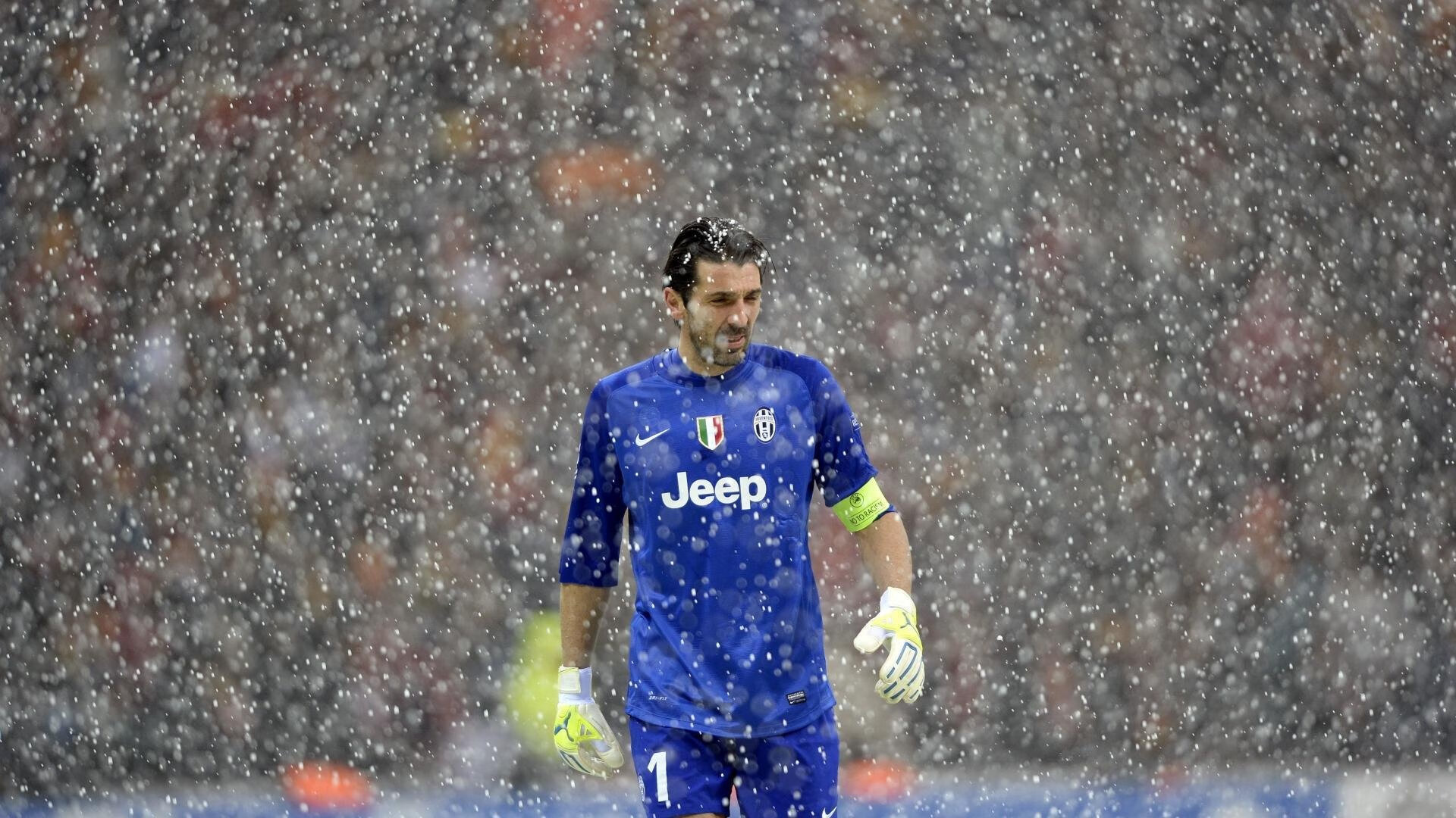 球员在欧冠赛后与球迷分享胜利喜悦，欧冠表演嘉宾